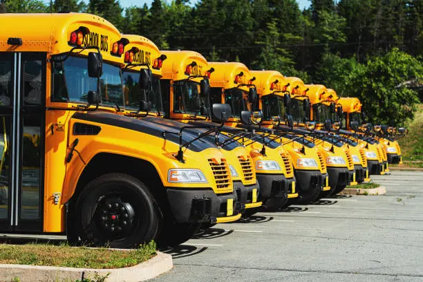 bus transportation bus school